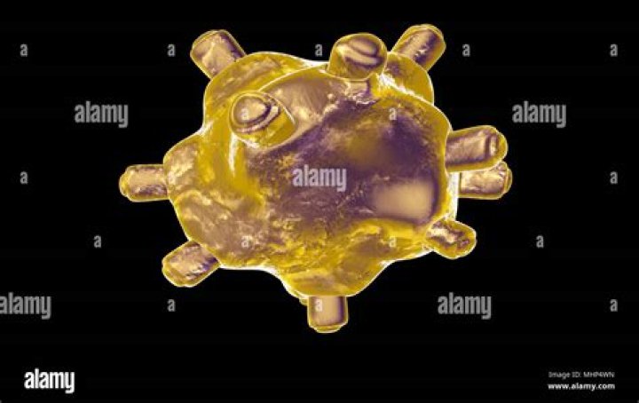 Germ