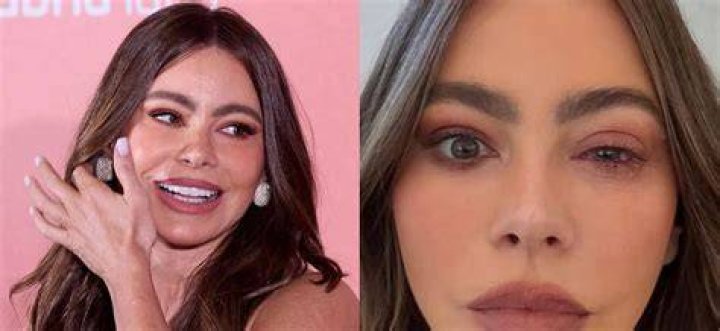 Sofia Vergara Had a &lsquo;Difficult' Year After Joe Manganiello Split